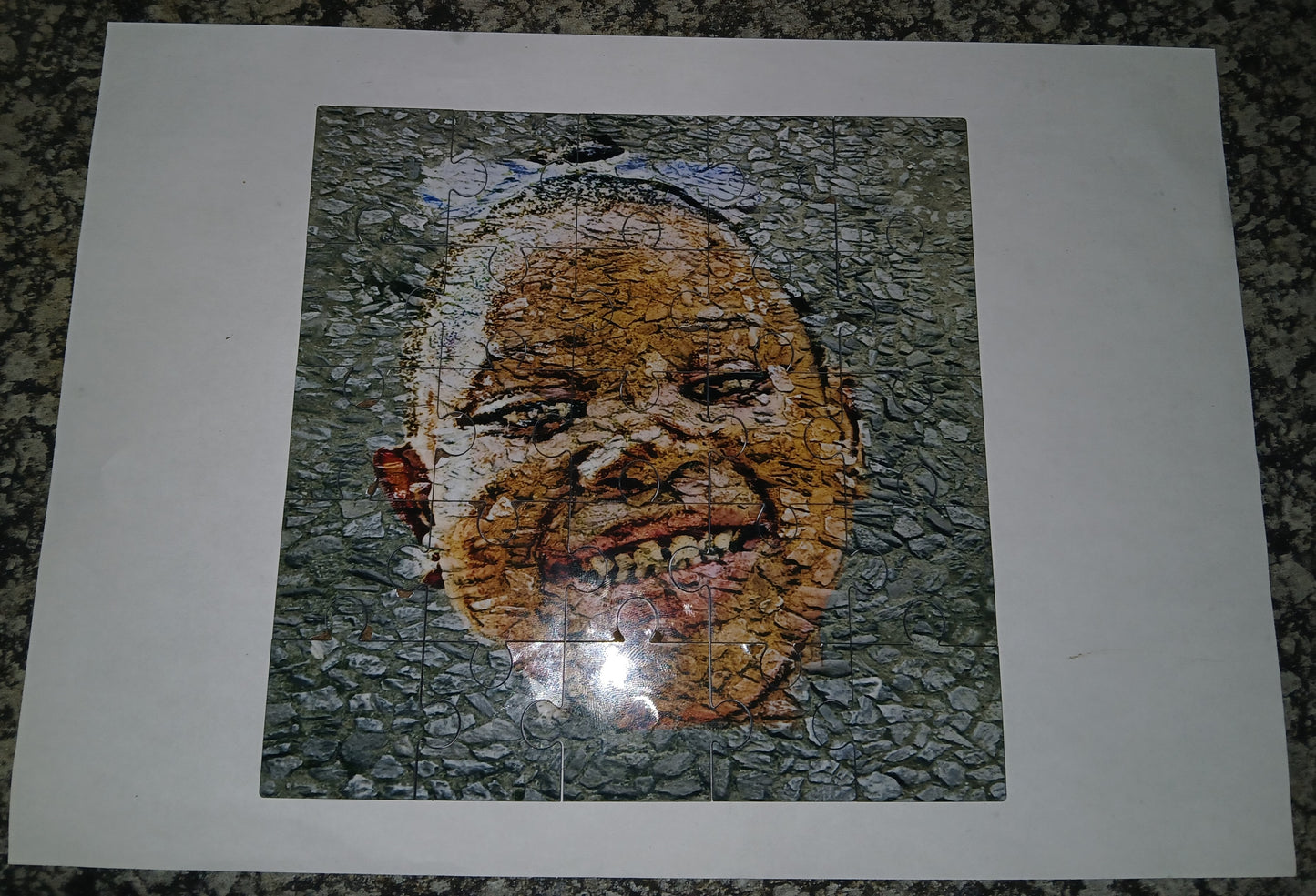 Paving Stone Face Puzzle